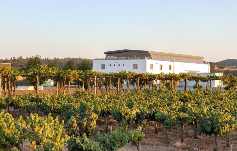 Herdade Canal Caveira – Winery Visit 3 Wines & Tapas