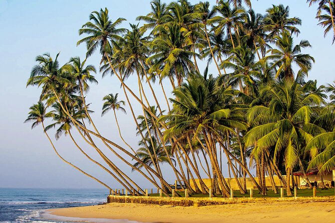 Hidden Temples and Secluded Coastlines Tour Review