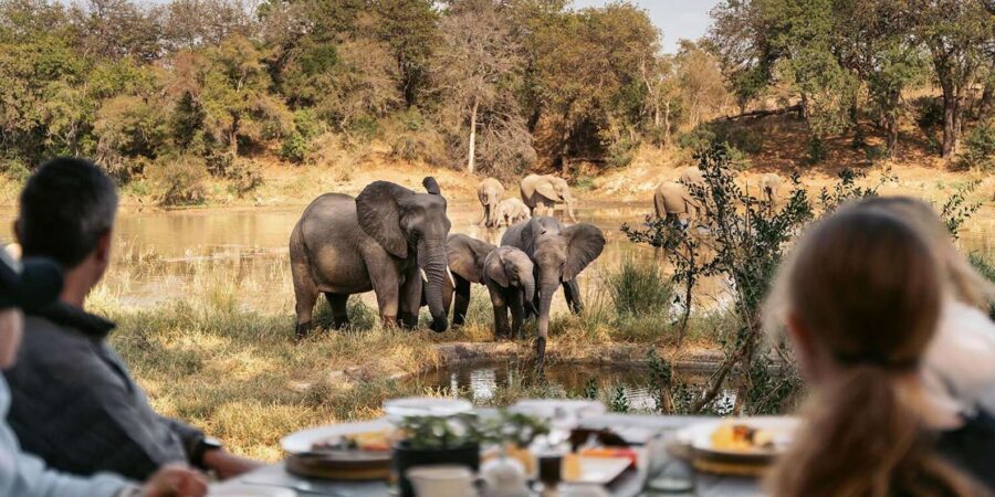 High-End 4 Day Kruger Park All Inclusive Safari From Joburg!