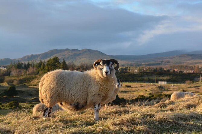 Highland Experience Tour From Dundee