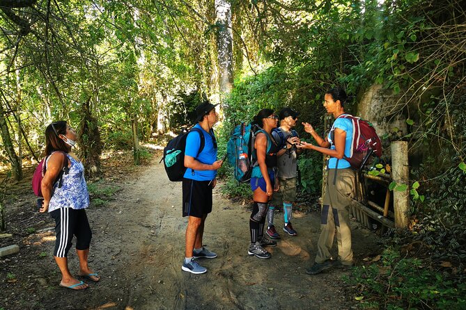 Highlights of Abraão and Enseada Das Estrelas in a 4-Hour Tour