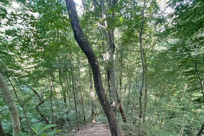 Hike and Chase Waterfalls With Nashville Is Nature! - Tour Highlights