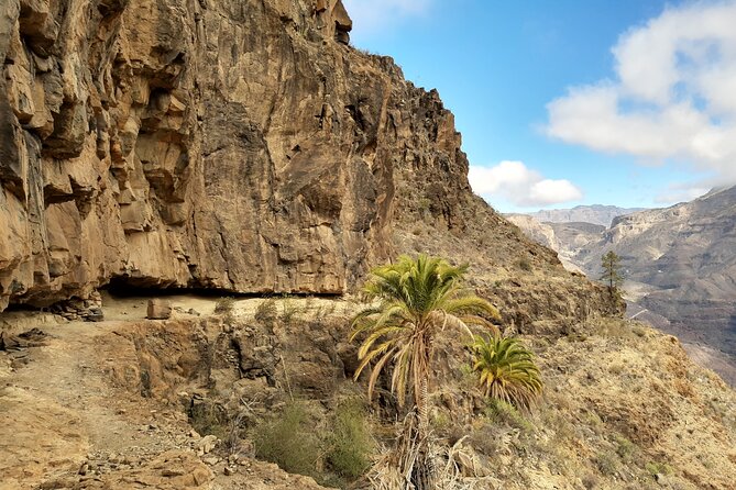 Hiking Experience in the North of Gran Canaria - Discovering the North of Gran Canaria