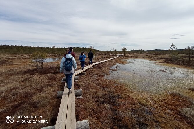 Hiking Experience in Torronsuo National Park With Backpacker Helsinki Tour - Tour Overview