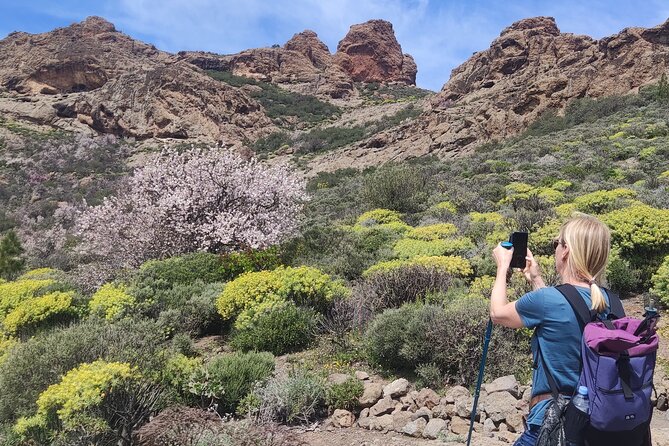 Hiking in the Sacred Mountains of Gran Canaria: UNESCO - Tour Overview