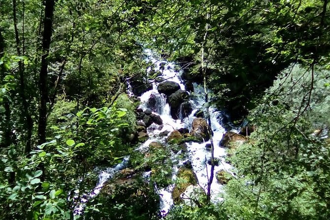 Hiking Tour Mrtvica Canyon - Tour Overview