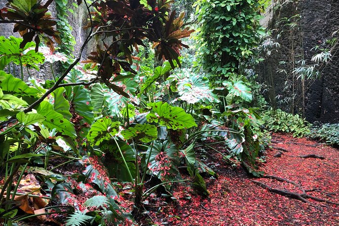 Historic Eco-Adventure Private Tour of Central Bermuda - Inclusions