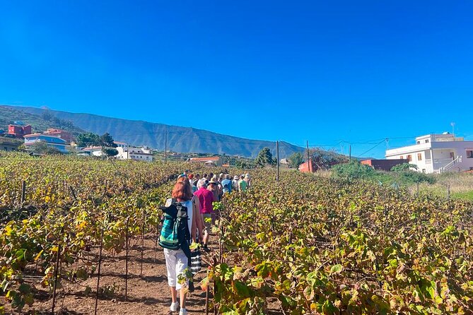 History and Tradition Tour of Local Products of La Orotava - Tour Overview