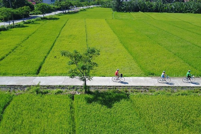 Hoi An Farming and Fishing Tour Review