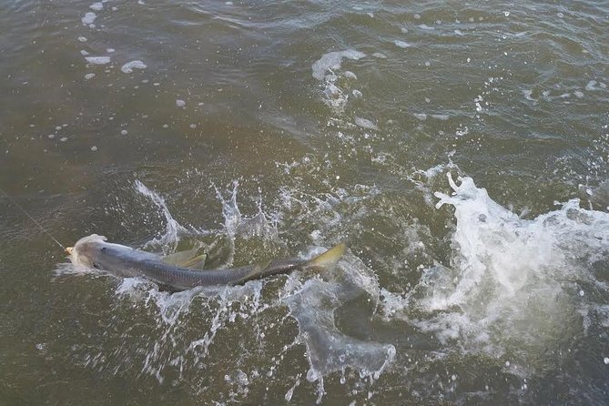 Holiday Inshore Fishing Charters