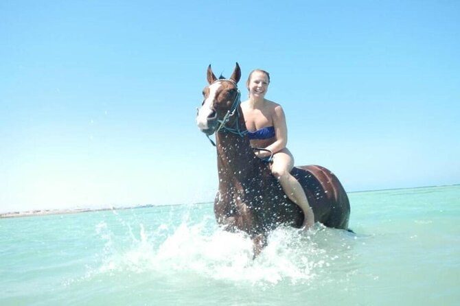 Horse Riding 3 Hours Desert Beach Swimming by Horse in Hurghada - Inclusions and Transfers