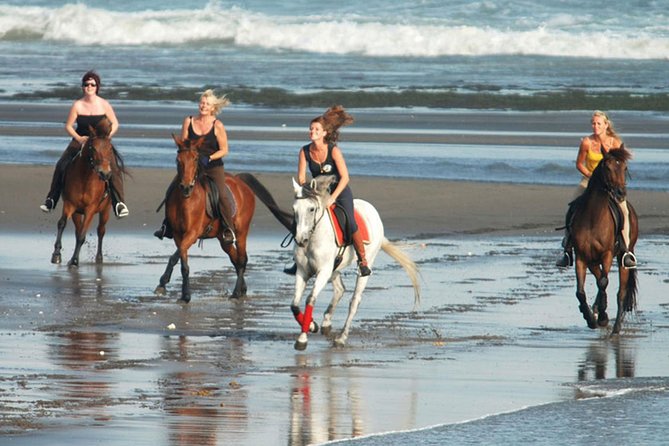 Horse Riding 30 Minutes at Black Sand Beach and Ubud Tour