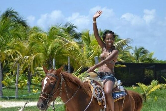 Horse Riding Activity in Miami - Overview of the Activity