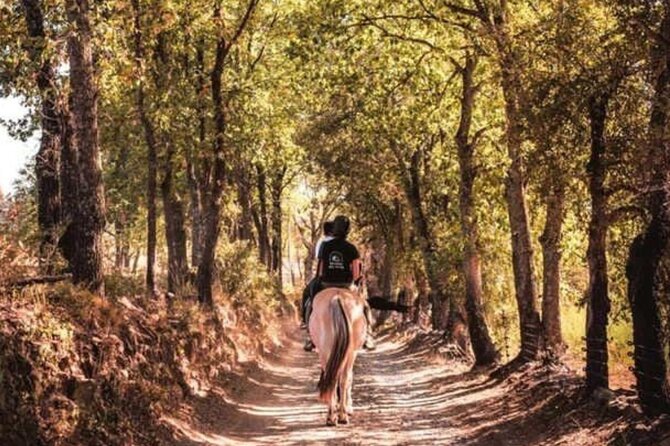 Horse Riding in the Vineyards of Grimaud + Wine Tasting