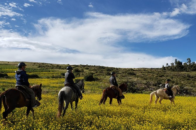 Horse Riding to the Temple of the Moon + Guided Visit to Sacsayhuaman – Cusco