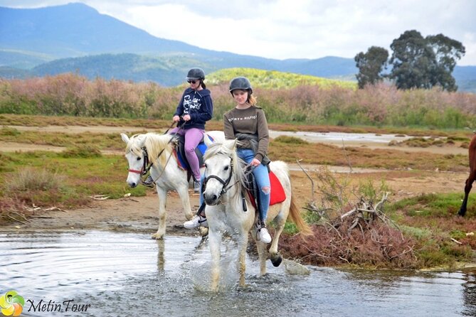 Horse Safari From Kusadasi - Overview and Experience