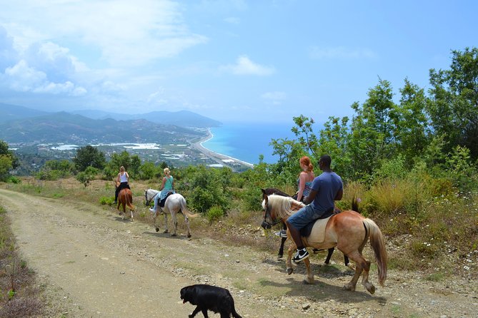 Horse Safari to Ancient Syedra - Booking and Assistance