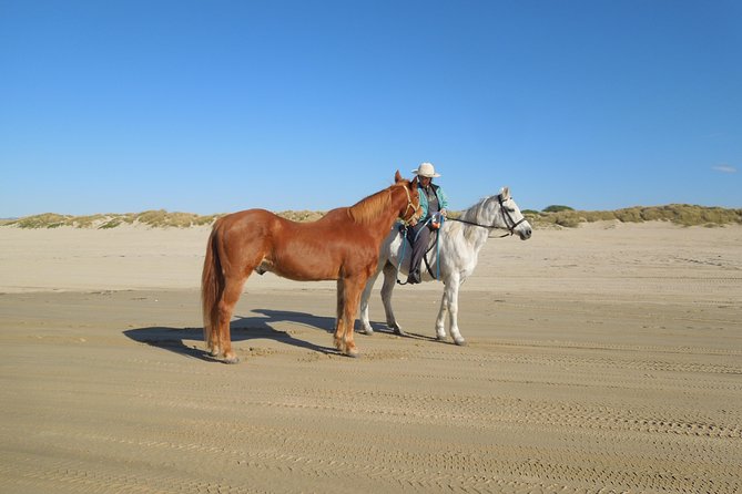 Horseback Ride on the Beach & Alcatraz Tour in San Francisco - Tour Overview