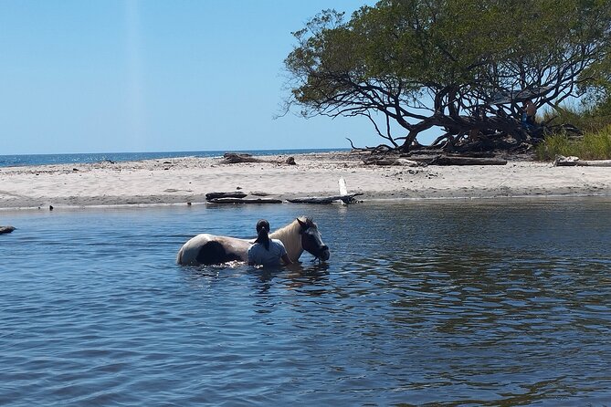 Horseback Ride, Picnic and Swimming at Barigona Beach