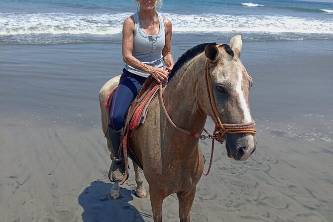 Horseback Riding on the Beach and Trails 2 Hours - Activity Overview
