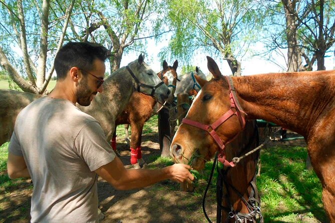Horseback Riding Tour and Polo in Argentine Countryside - Pickup and Meeting Details