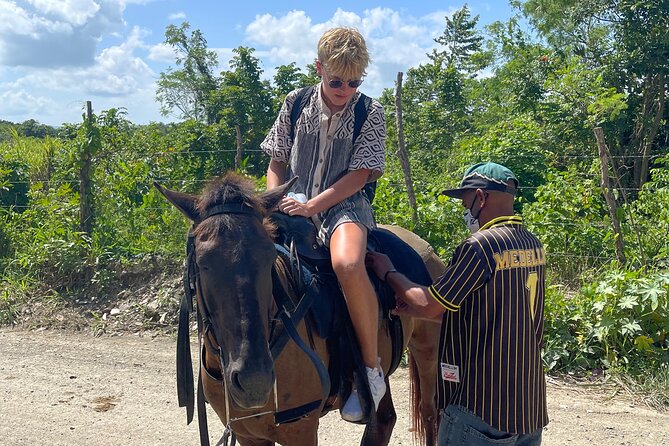 Horseback Riding Tours by the Beach