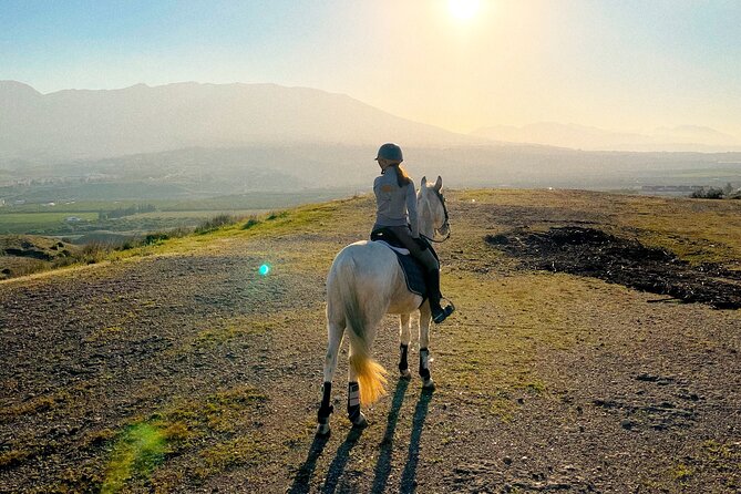 Horseback Riding With Certified Guide