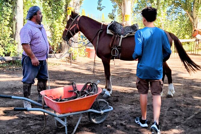Horsebackriding and Lunch With Transfer Included