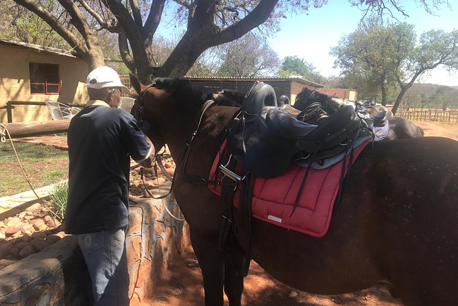 Horseriding Safari Day Tour From Johannesburg - Tour Overview