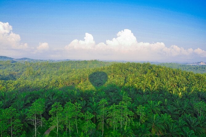 Hot Air Ballooning Tour From Habarana