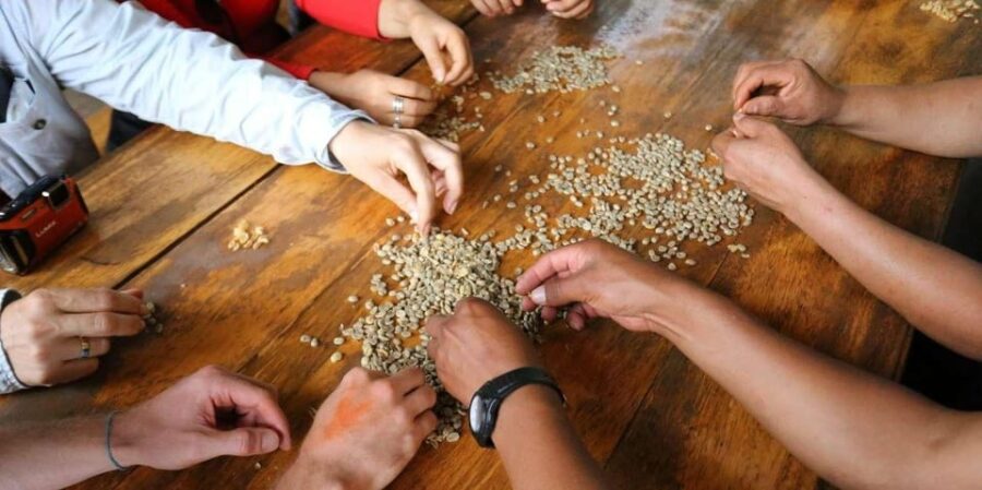 Huayopata Coffee or Cocoa 2-Day Private Tour