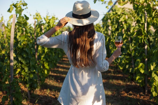 I Came, I Saw, I Drank Wine – the Freiburg Wine Hike