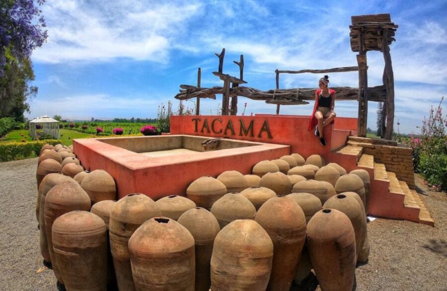 Ica: Pisco Wineries and Vineyards Day Tour - Overview of the Tour