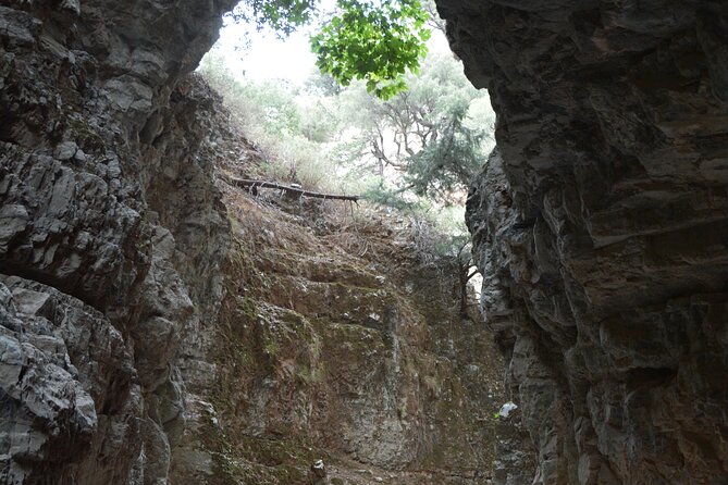 Imbros Gorge & Frangokastello - From Rethymno With the Best Guide - Overview of the Tour