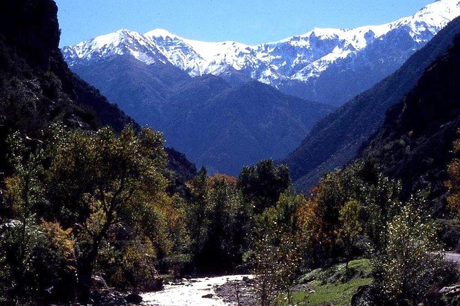 Imlil and Kasbah Du Toubkal Day Tour From Marrakech