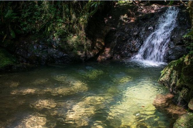 Immersion In An Untouched Ecosystem – Adventurous Full Day Hiking Tour