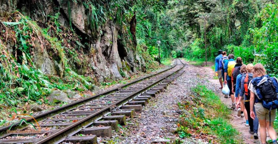 Inca Jungle of Machu Picchu 4 Days and 3 Nights