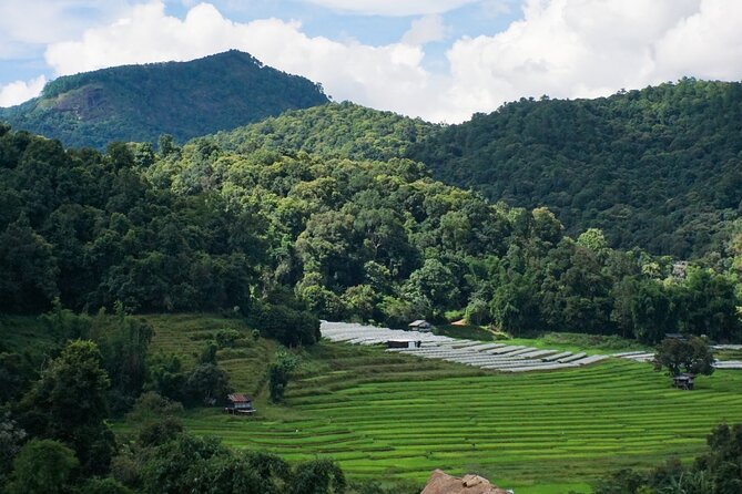 Inthanon National Park Tour With Soft Hike at Pha Dok Siew Trail