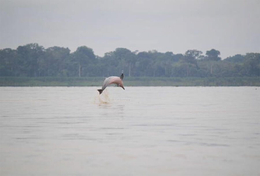 Iquitos: 3 Days and 2 Nights | Crossing the Amazon