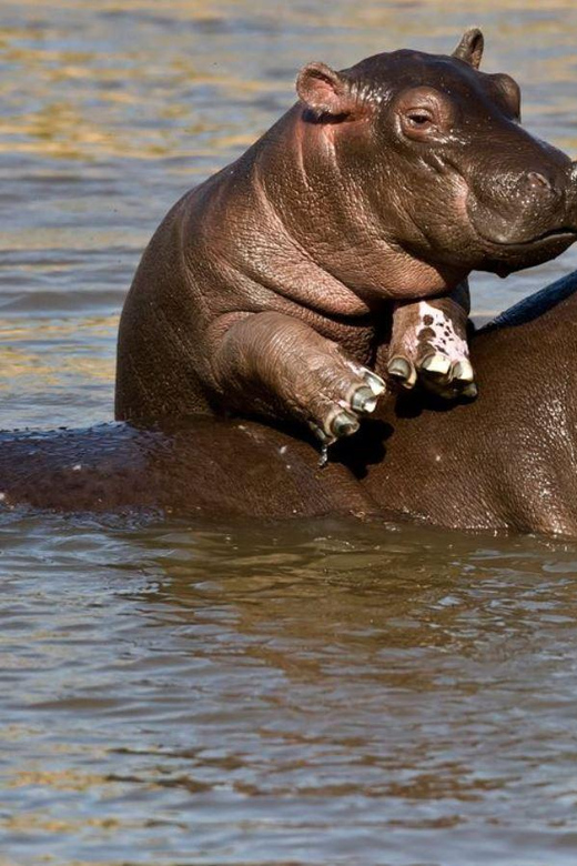 5 Best Tours In Richards Bay
