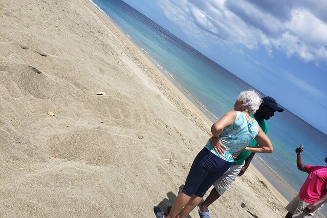 Island Tours of Tobago