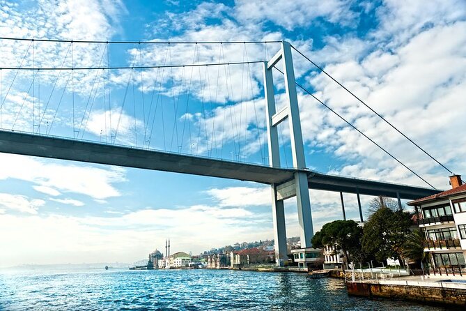 Istanbul Bosphorus New Years Eve Dinner Cruise Party in Istanbul - Overview and Experience