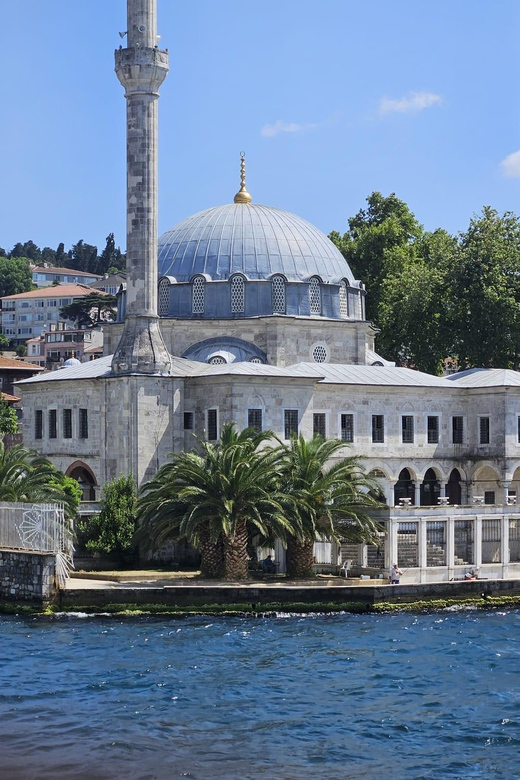 Istanbul: Cruise and Dine 2.5-Hour Bosphorus Lunch Tour