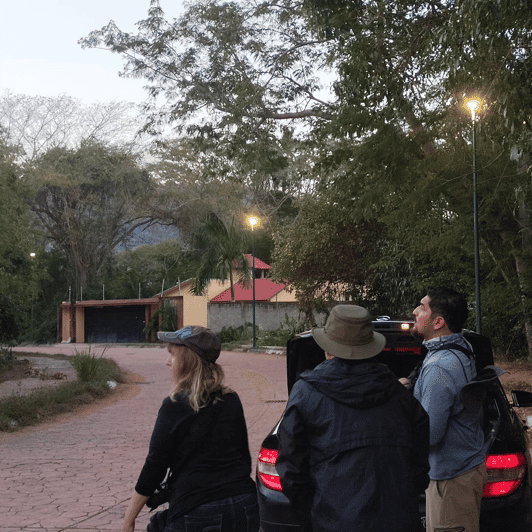 Ixtapa: Bird Watching Tour With Round-Trip Transportation