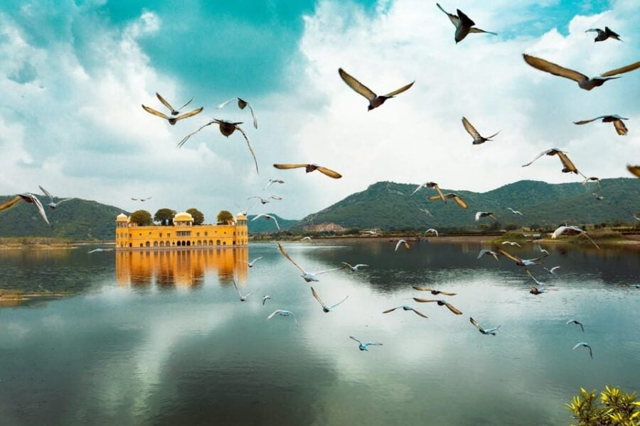 Jaipur: Amber Fort, Jal Mahal & Stepwell Private Tour