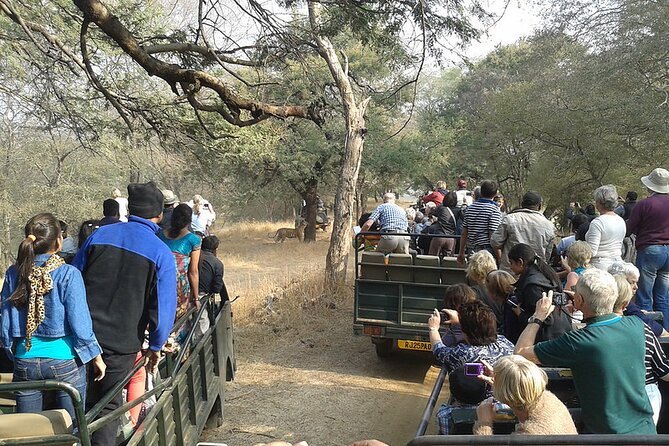 Jaipur to Ranthambore National Park Private One Day Trip