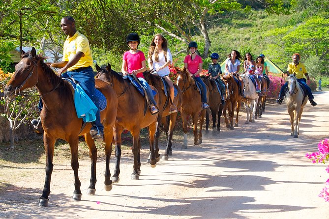 Jamaica Zipline and Horseback Ride N Swim Adventure Tour From Runaway Bay - Zipline Experience in Runaway Bay