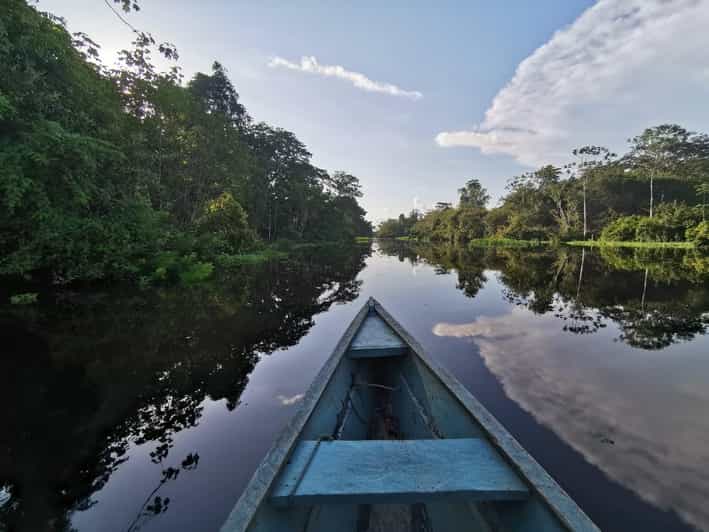 Javari Expedition