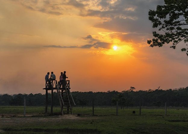 Jeep Safari in Chitwan National Park - Jeep Safari Details