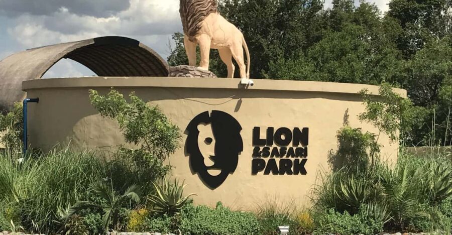 Johannesburg: Lion and Safari Park Open Vehicle Game Drive